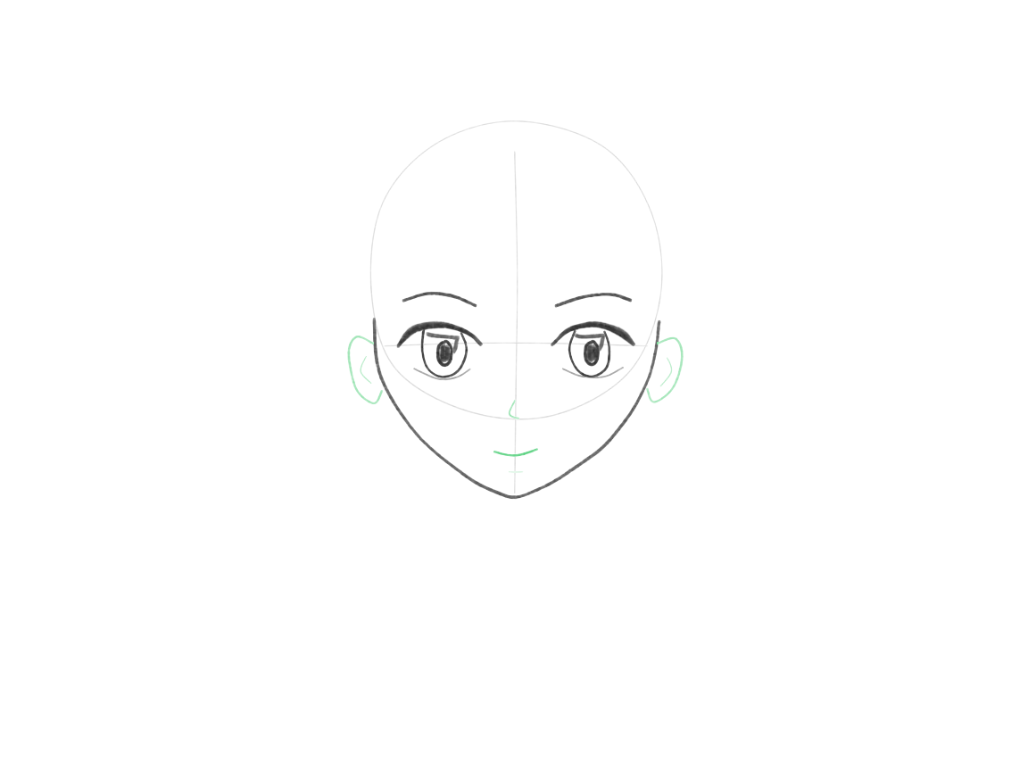 Place the nose, mouth, and ears