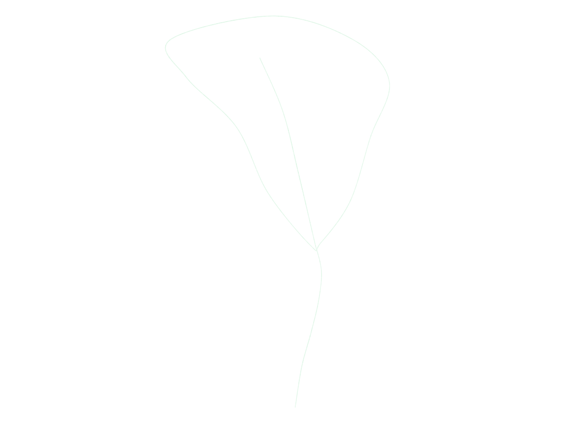 Draw a Calla Lily: checkpoint 1, place the flower direction and stem