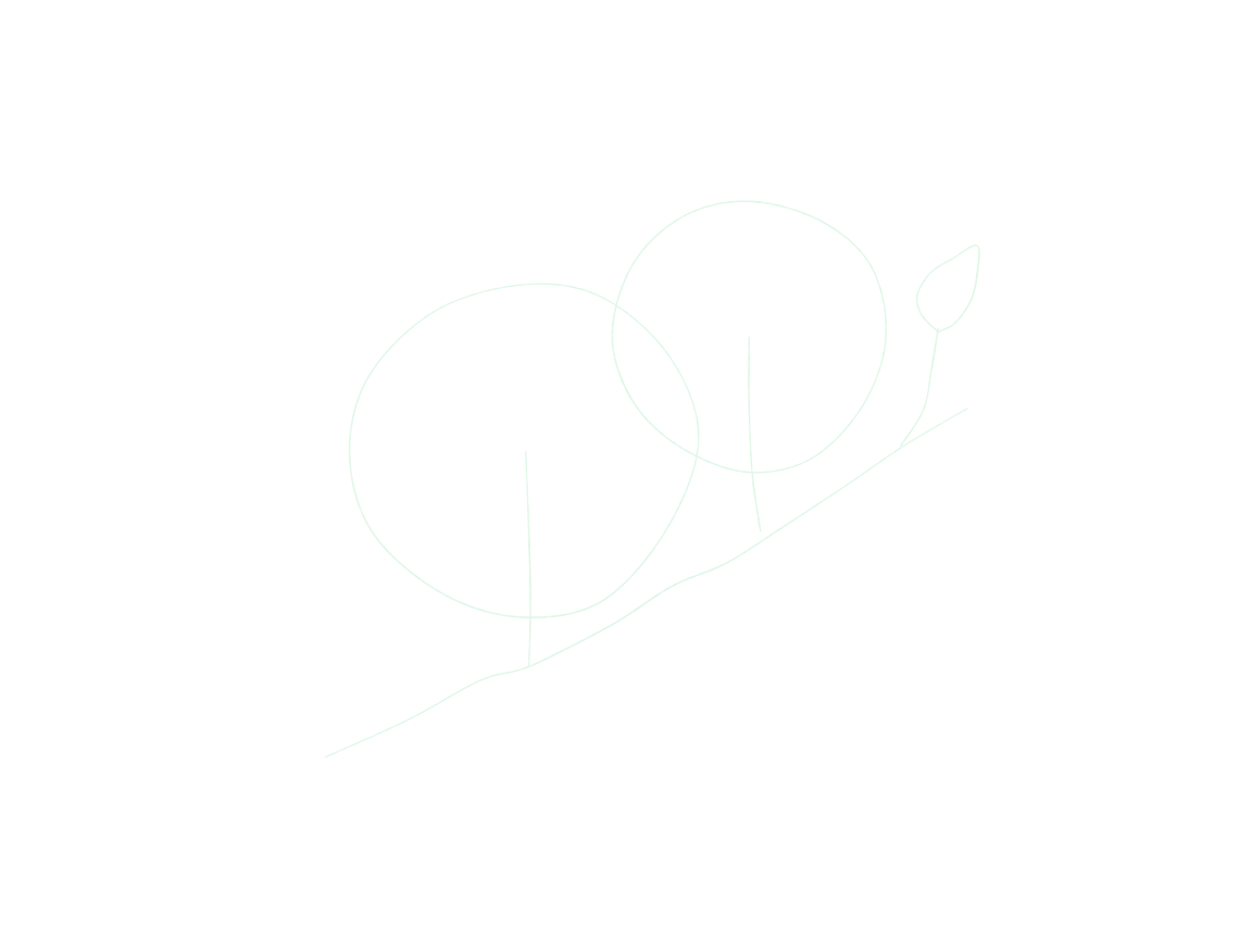 Draw a Cherry-Blossom Branch: checkpoint 1, plan the branch and three flower positions