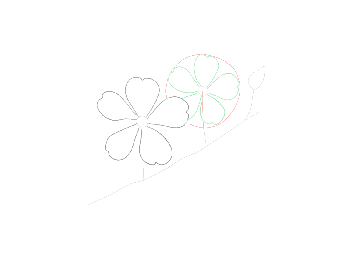 Draw a Cherry-Blossom Branch: checkpoint 3, add the second blossom behind the first