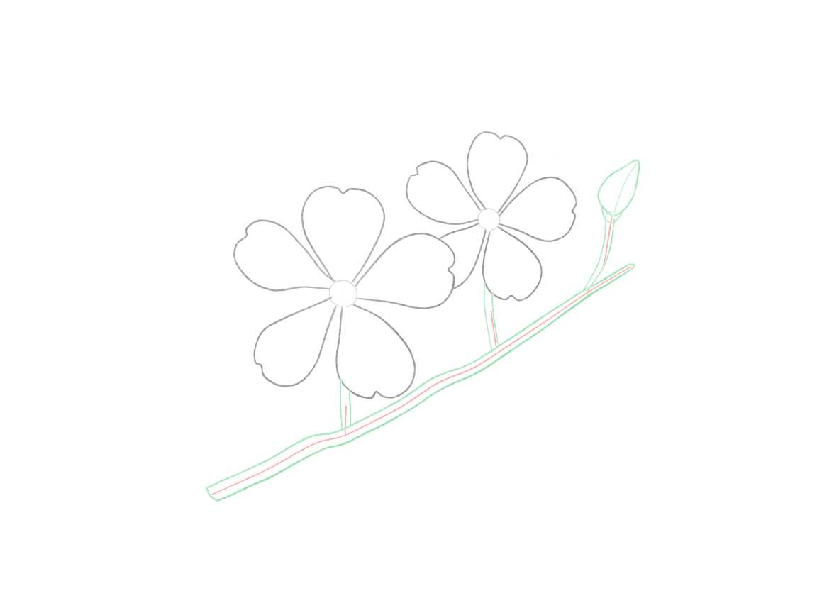 Draw a Cherry-Blossom Branch: checkpoint 4, connect the branch, stalks and bud