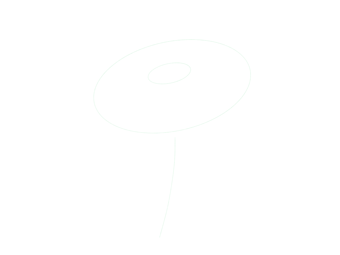 Draw a Daisy Turned to One Side: checkpoint 1, plan the tilted flower
