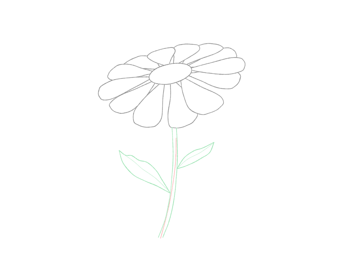 Draw a Daisy Turned to One Side: checkpoint 4, connect the stem and leaves
