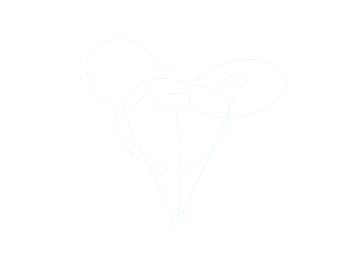 Draw a Small Flower Bouquet: checkpoint 1, plan three heads and the gathered stems