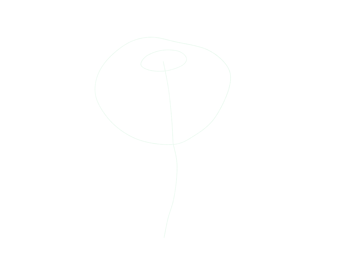 Draw a Partly Open Rose: checkpoint 1, plan the rose cup and shallow turn