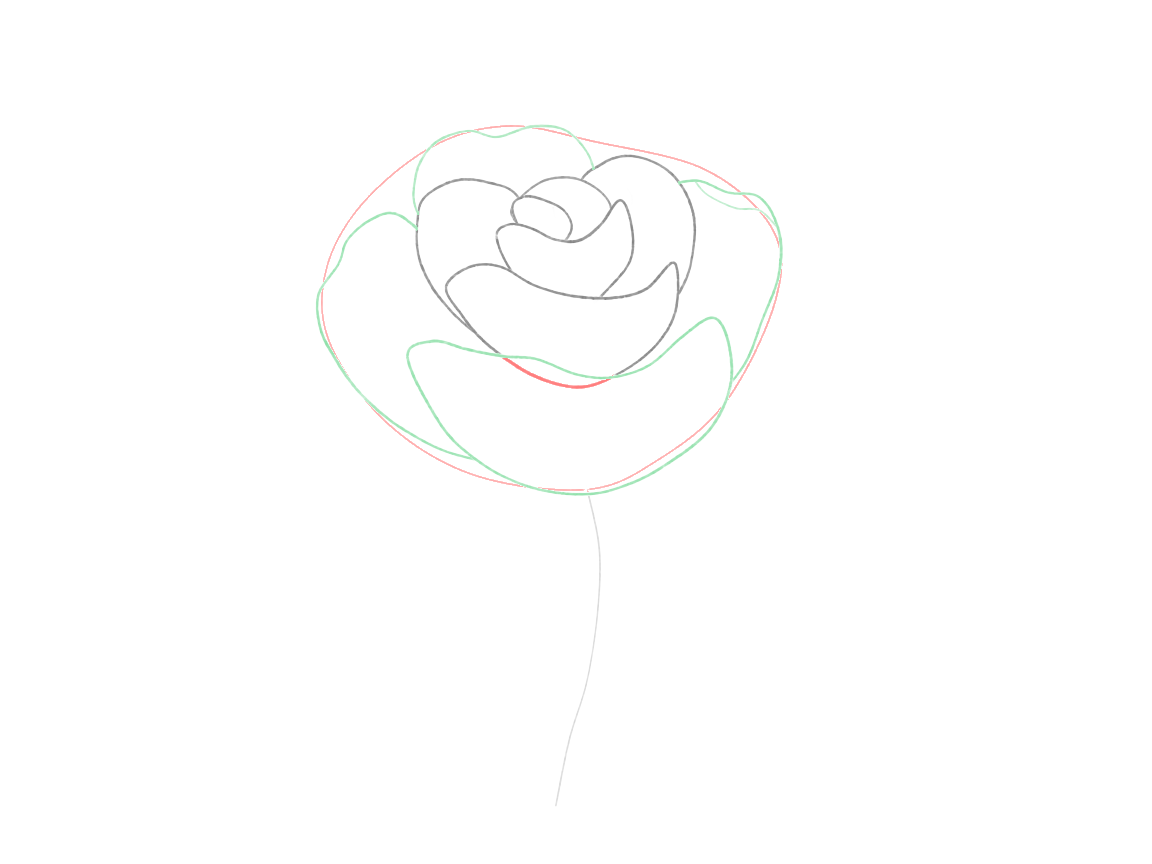Draw a Partly Open Rose: checkpoint 4, open a few broad outer petals