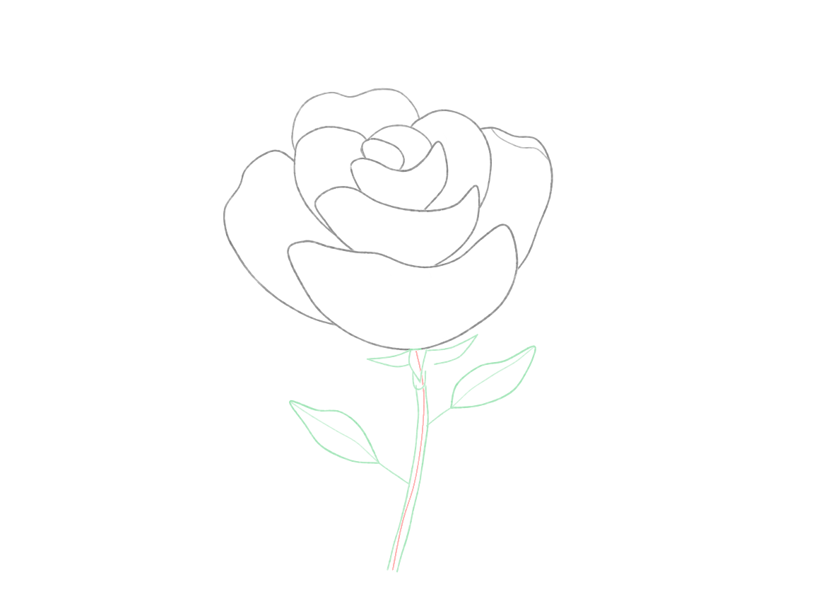 Draw a Partly Open Rose: checkpoint 5, attach the sepals, stem and leaves