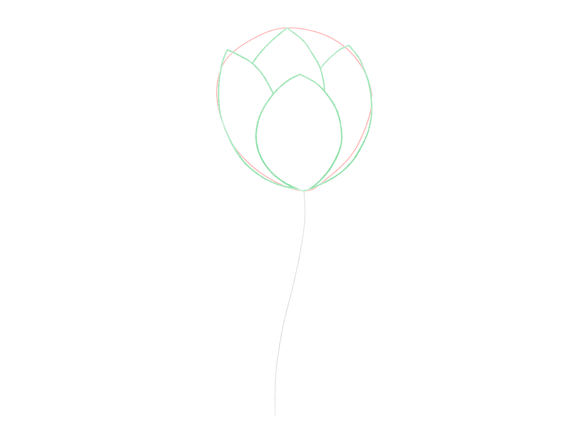 Draw a Tulip with Curving Leaves: checkpoint 2, build the overlapping petal structure