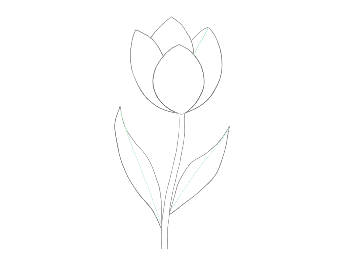Draw a Tulip with Curving Leaves: checkpoint 4, add petal folds and leaf curves