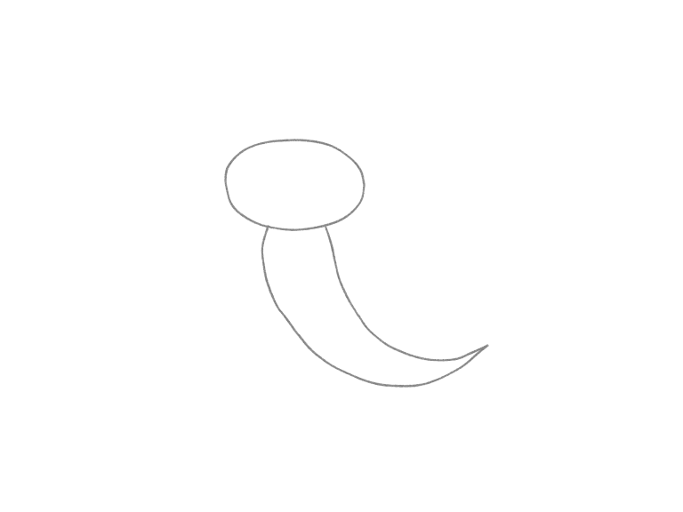 Draw a Cute Axolotl in Motion: checkpoint 2, build the body and tail around the curve