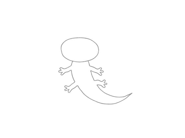 Draw a Cute Axolotl in Motion: checkpoint 3, attach the short limbs