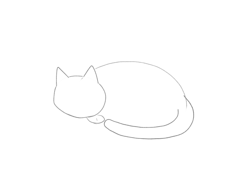Draw a Cute Sleeping Cat: checkpoint 3, add the curled tail and paw