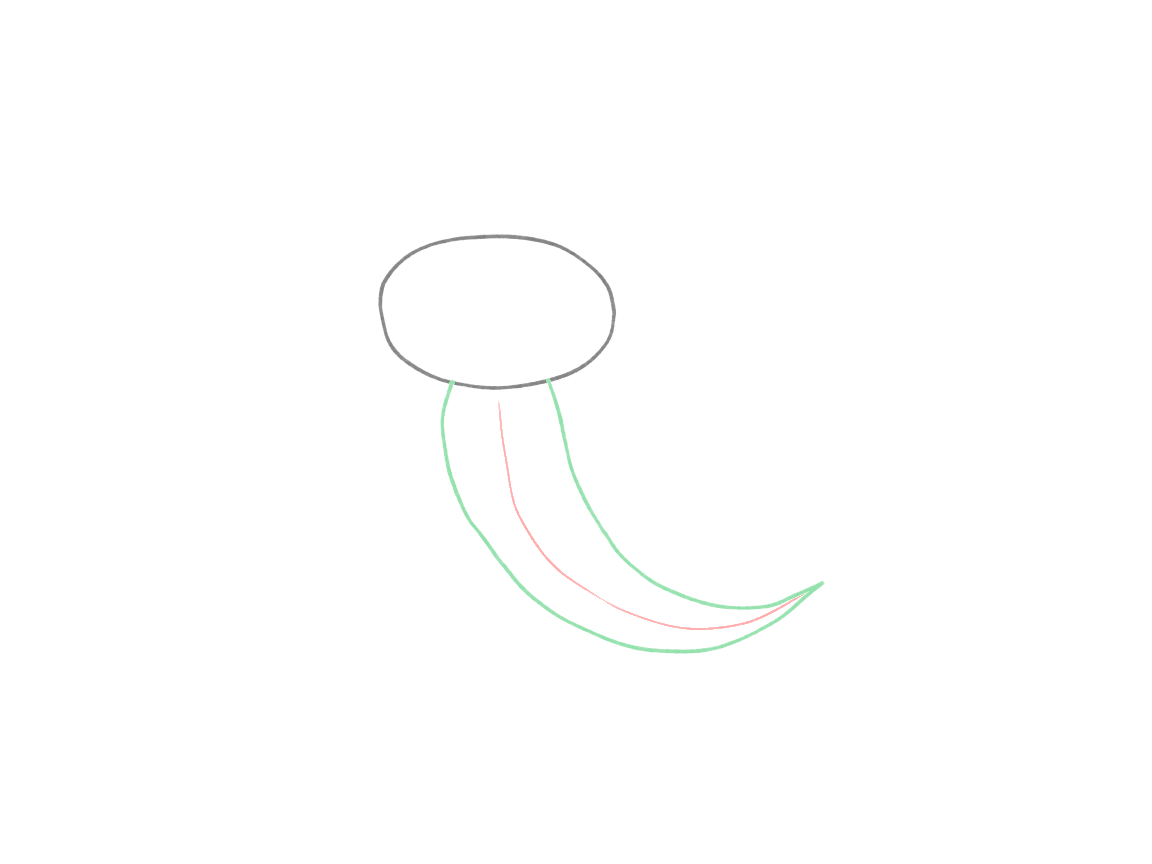 Draw a Cute Axolotl in Motion: checkpoint 2, build the body and tail around the curve
