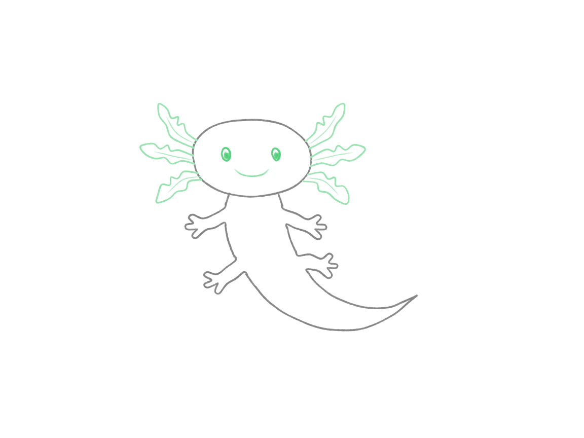Draw a Cute Axolotl in Motion: checkpoint 4, add the gills and face